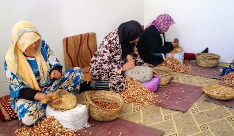 association-cooperative-maroc